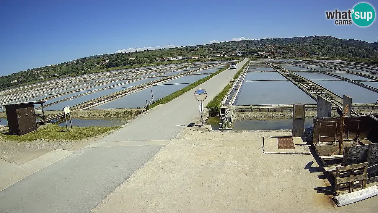 Sečovlje Salina Nature Park