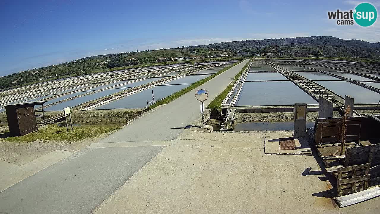 Parco Naturale Saline di Sicciole