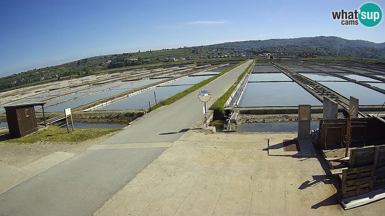 ﻿Sečovlje Salina Nature Park – KPSS