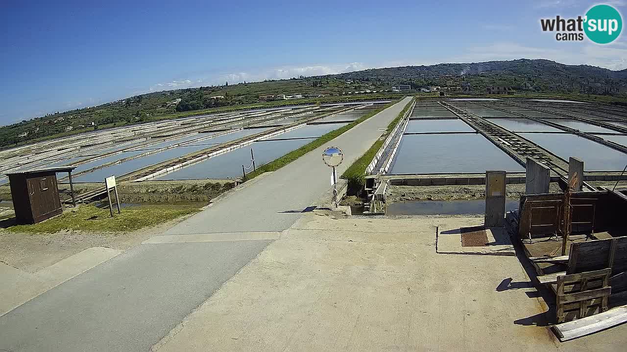 Krajinski Park Sečoveljske Soline