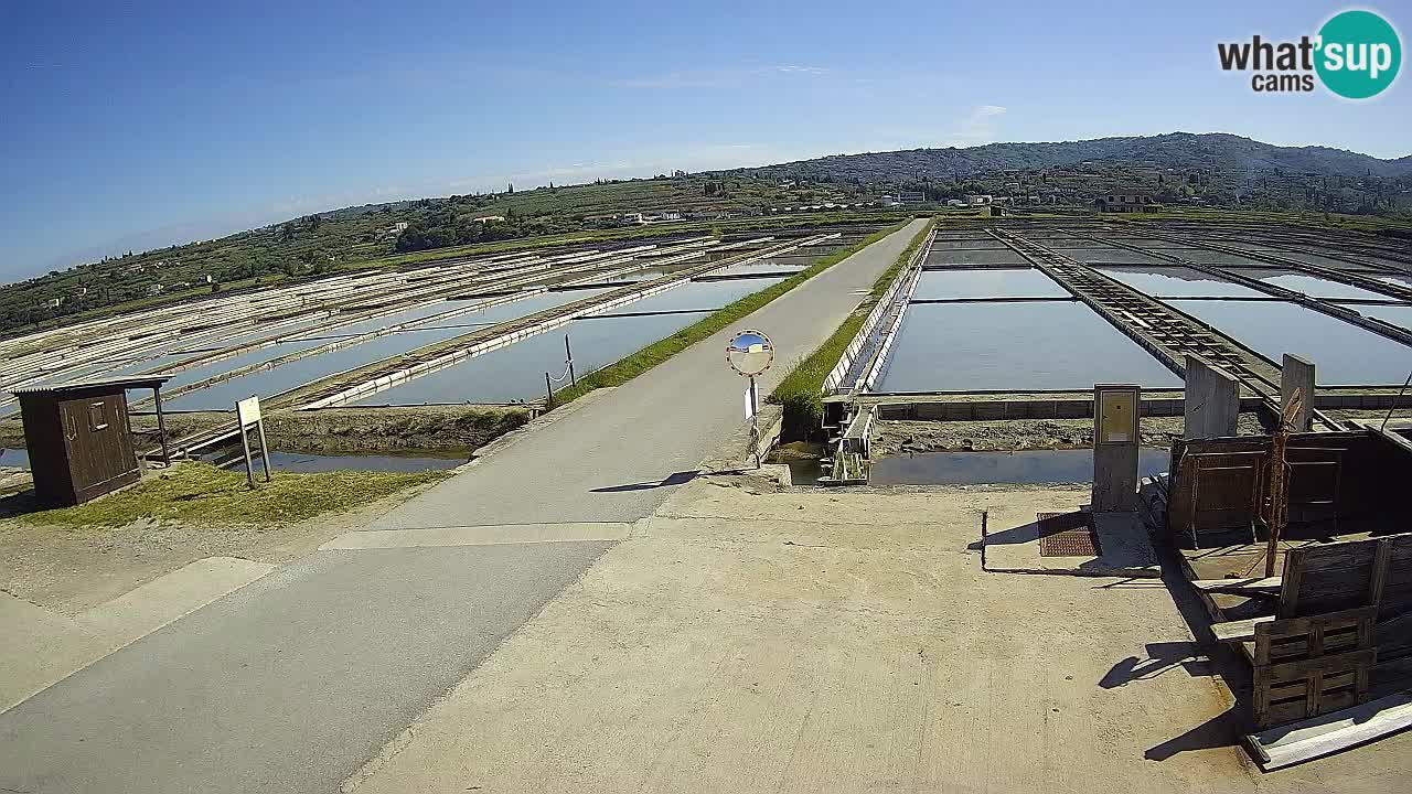 Sečovlje Salina Parque Natural