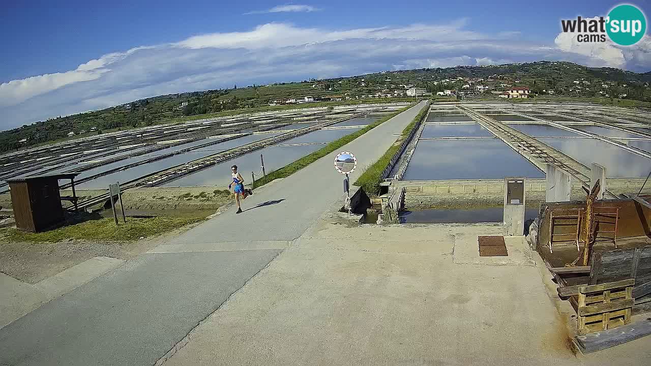 Sezza – Panorama e le saline
