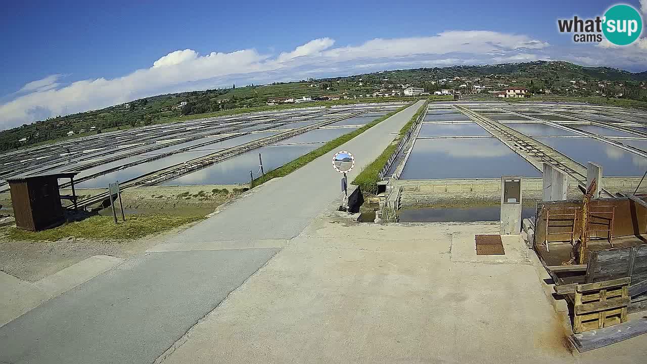 Sezza – Panorama e le saline