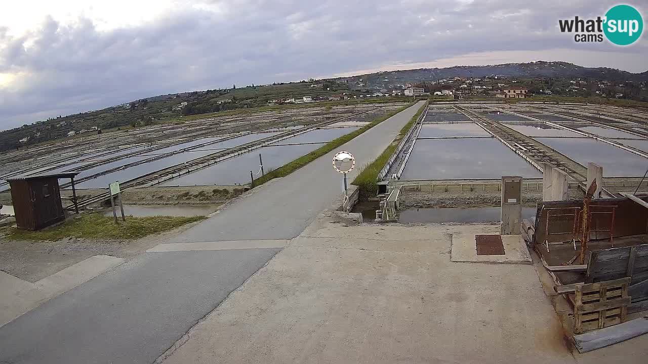 Krajinski Park Sečoveljske Soline