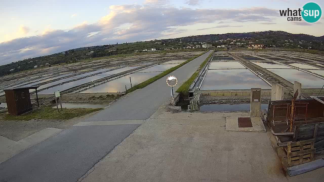 Sečovlje Salina Nature Park