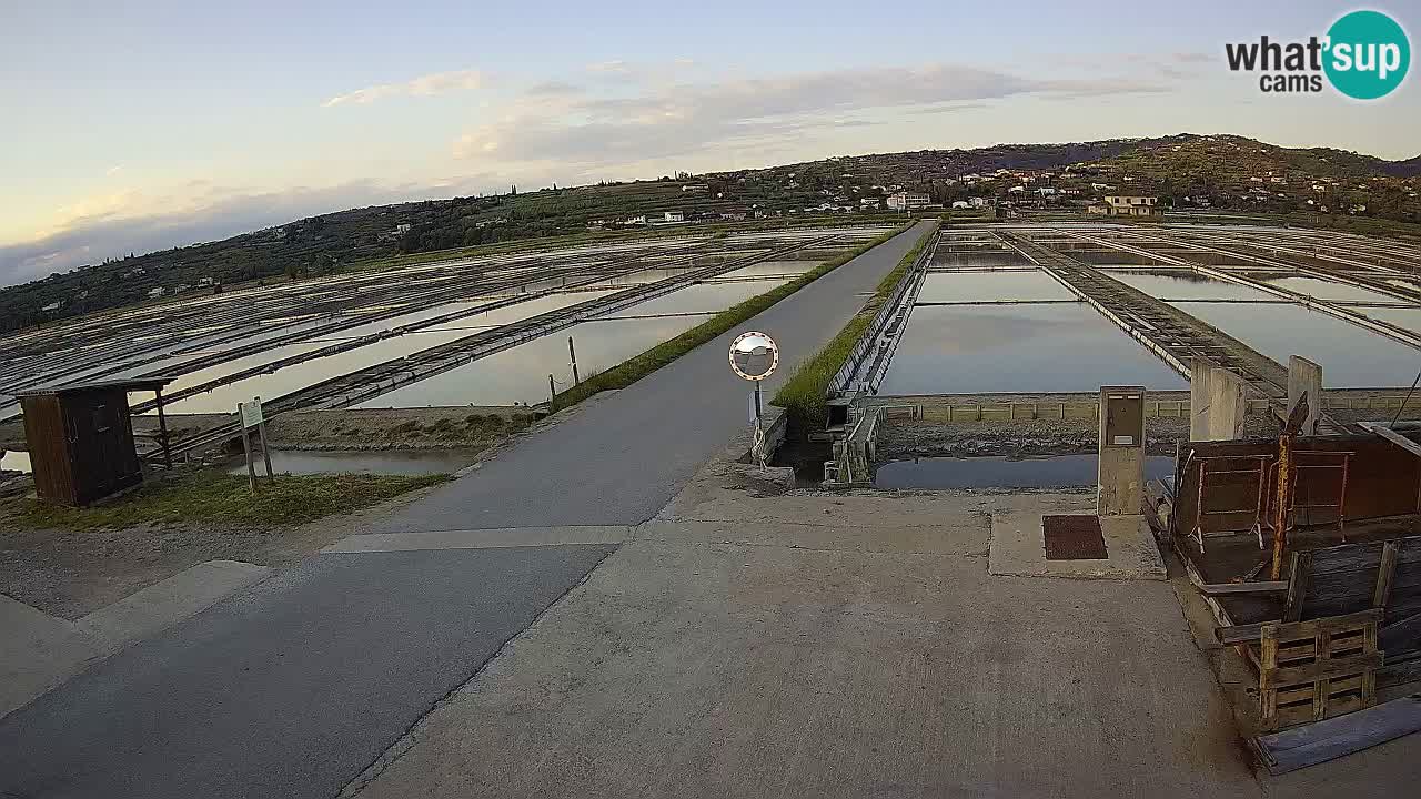 Krajinski Park Sečoveljske Soline