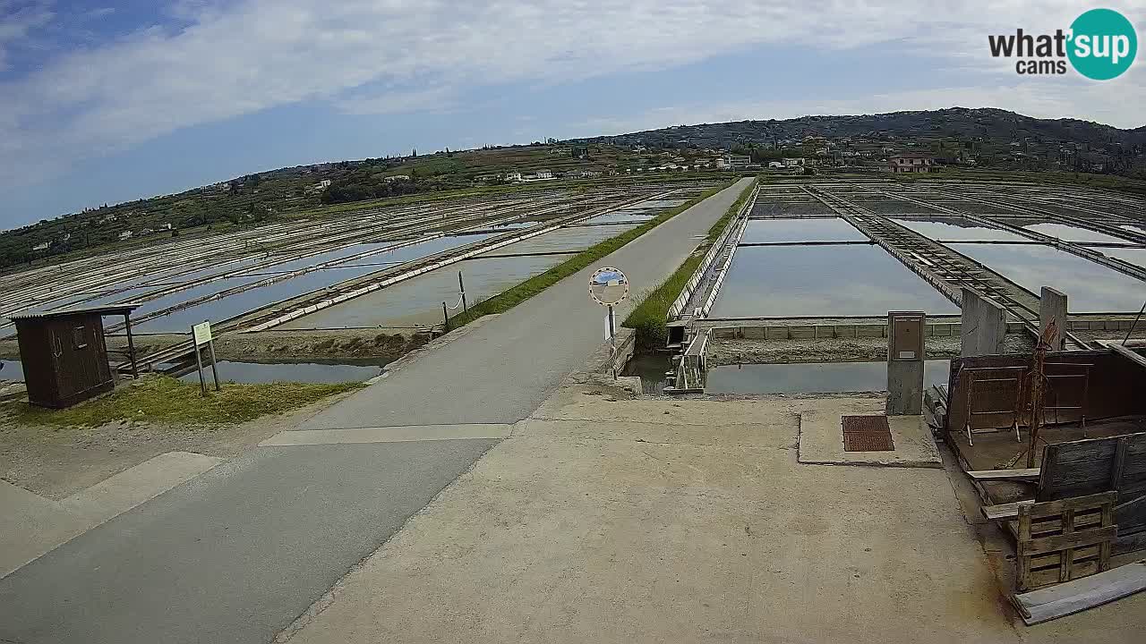 Parco Naturale Saline di Sicciole