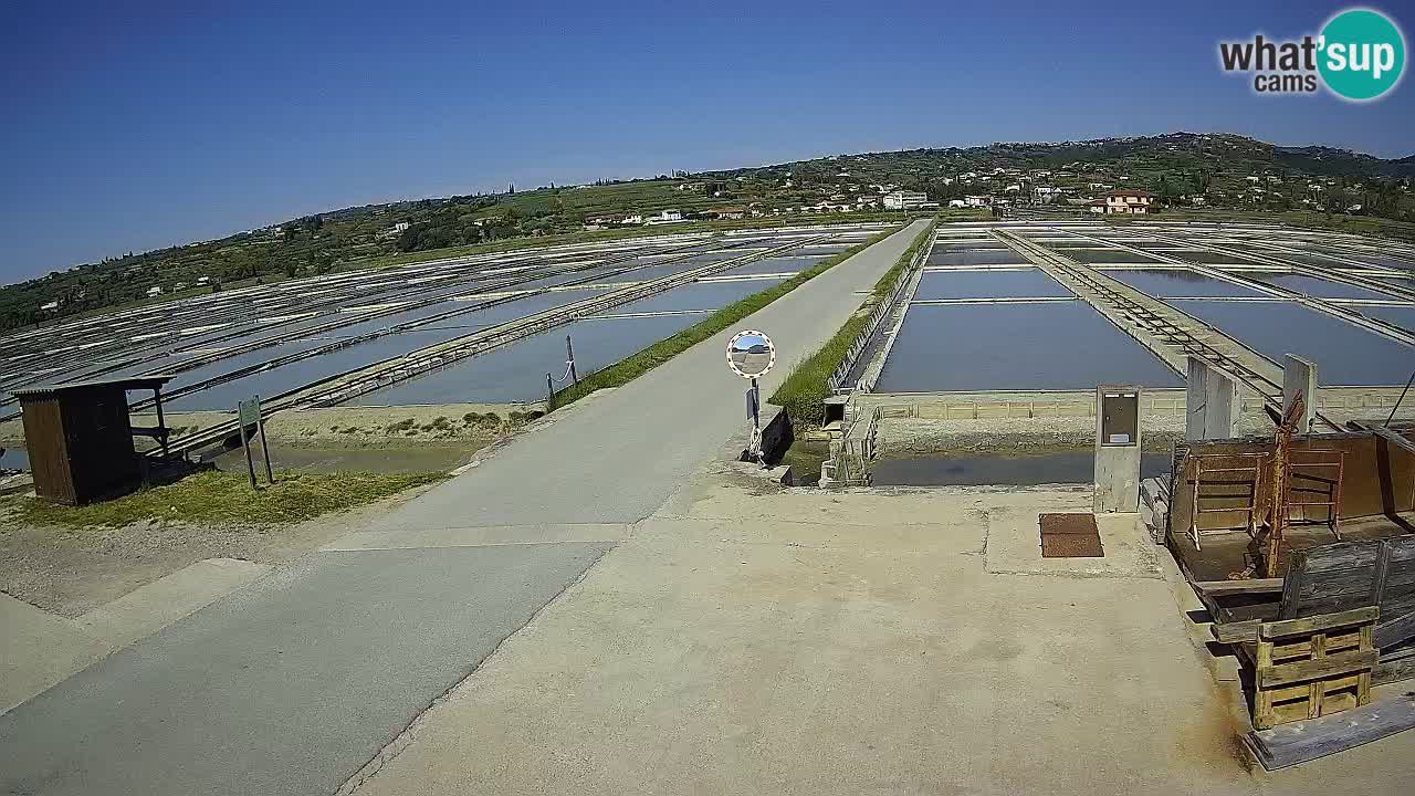 Parco Naturale Saline di Sicciole