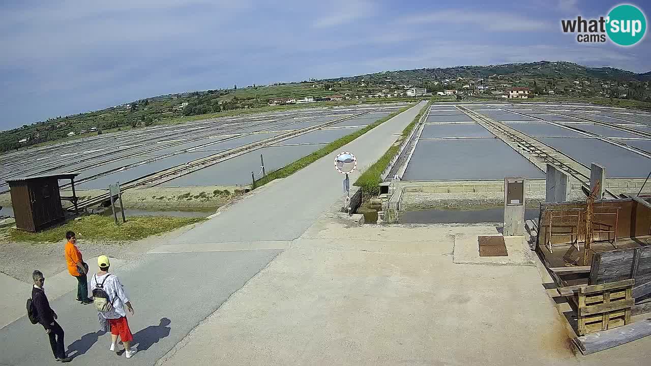 Krajinski Park Sečoveljske Soline