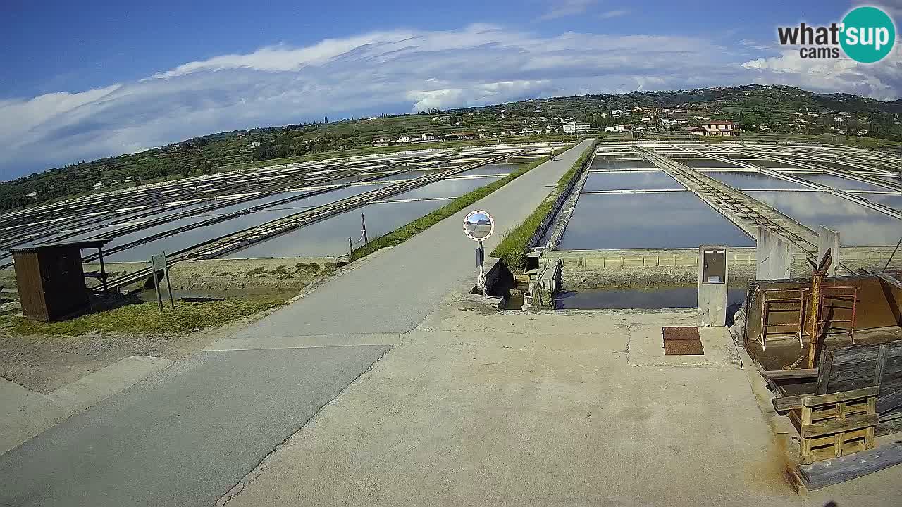 Krajinski Park Sečoveljske Soline