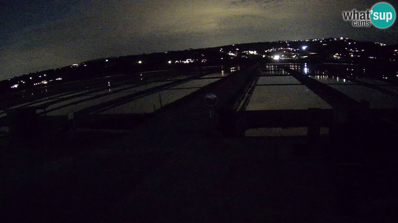 Sečovlje Salina Parque Natural