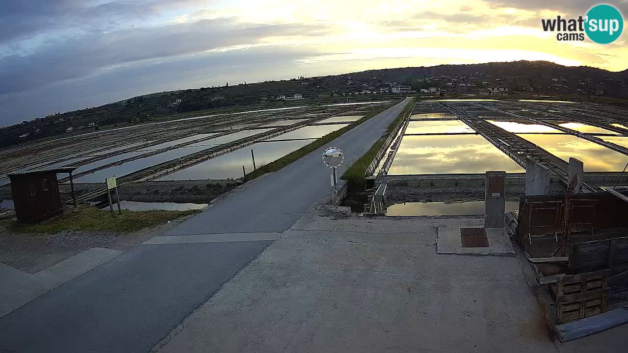 Parco Naturale Saline di Sicciole