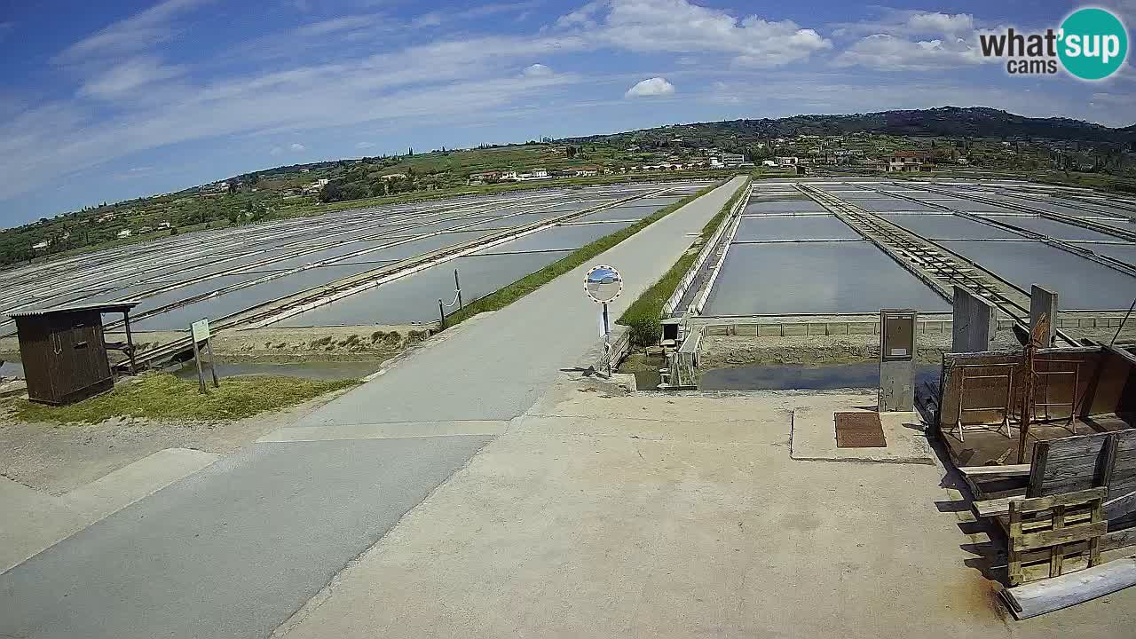 Sezza – Panorama e le saline