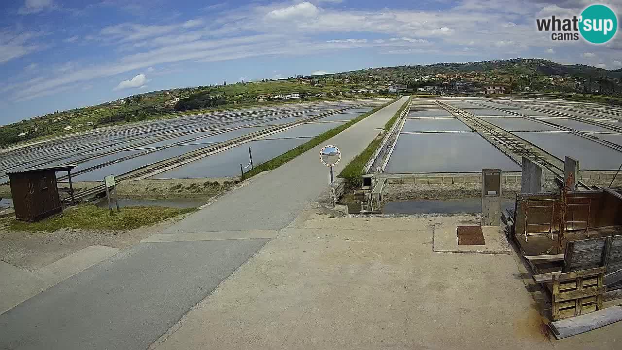Sečovlje Salina Nature Park
