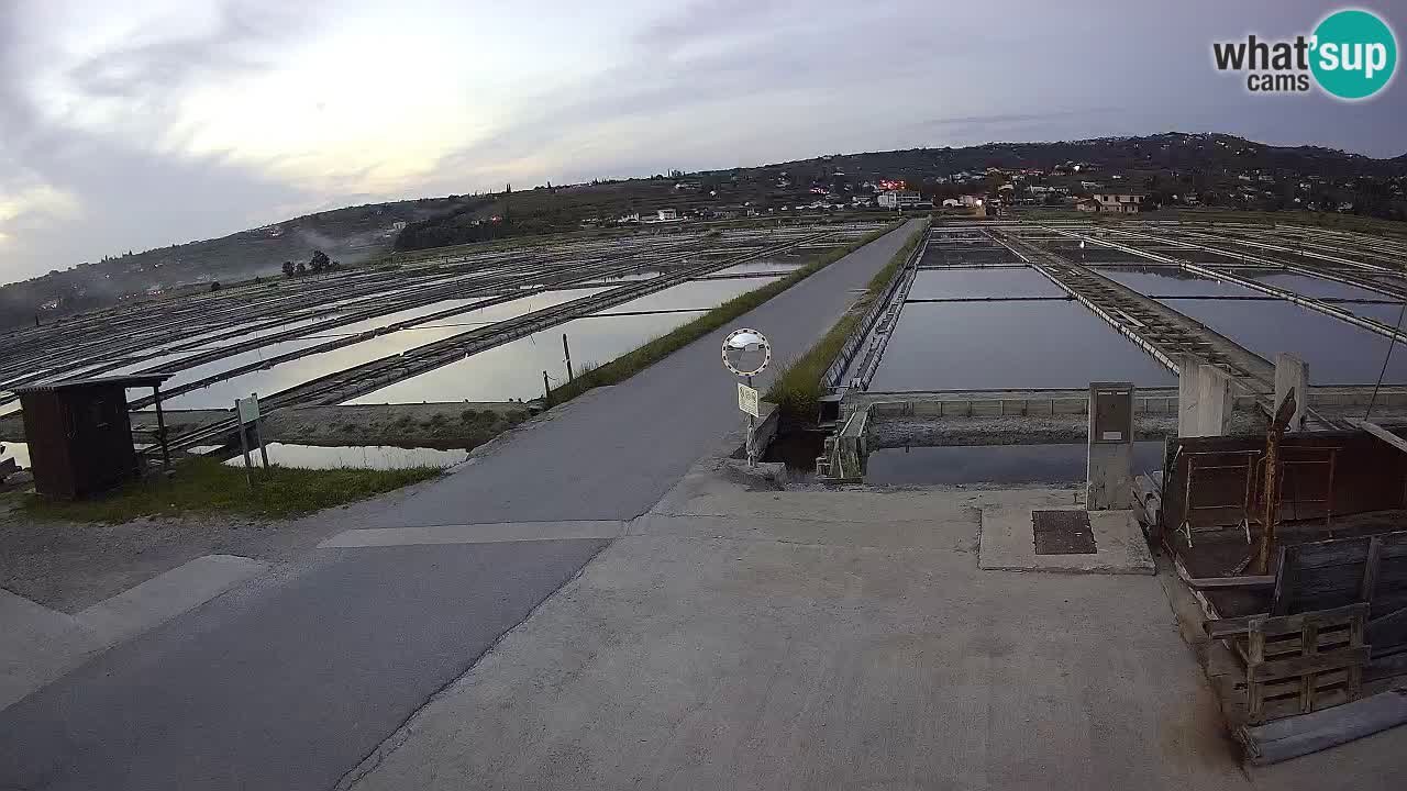 Park prirode Sečovlje Salina