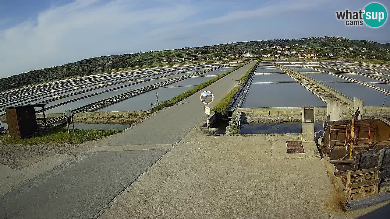 Sečovlje Salina Parque Natural