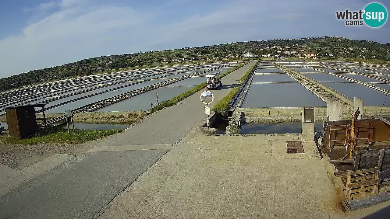 Sečovlje Salina Nature Park