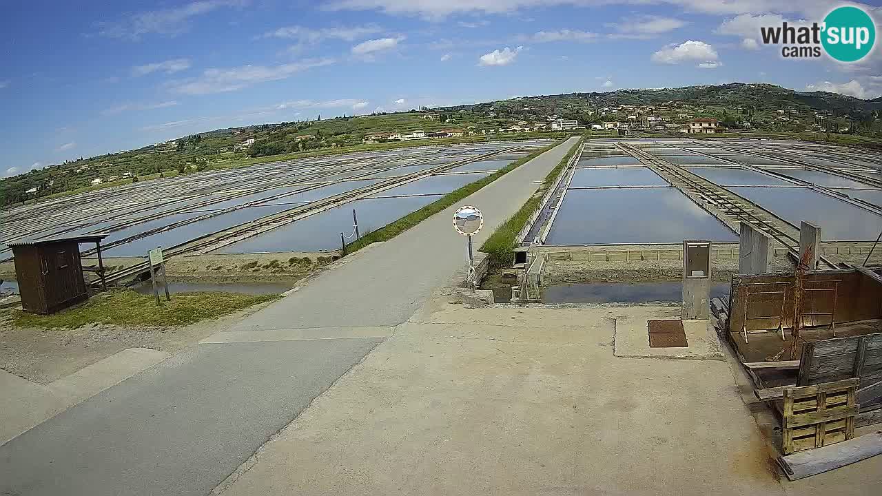 ﻿Sečovlje Salina Nature Park – KPSS