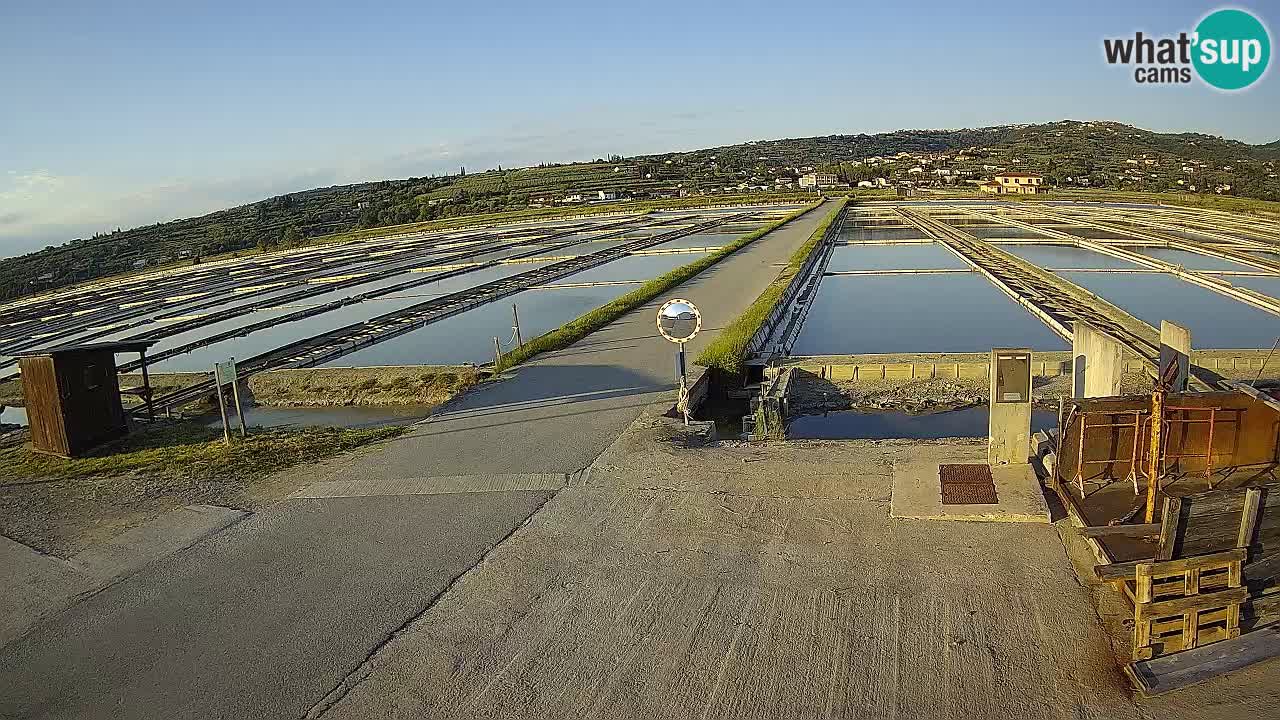 Park prirode Sečovlje Salina