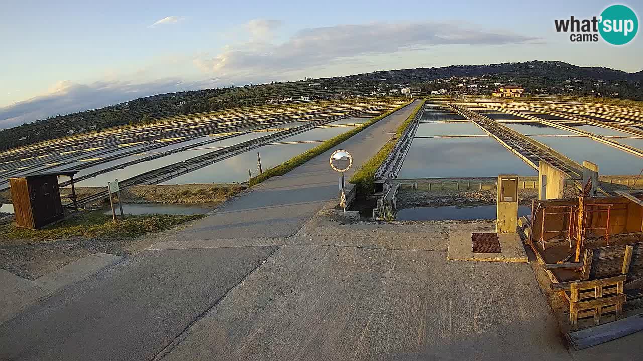 Park prirode Sečovlje Salina