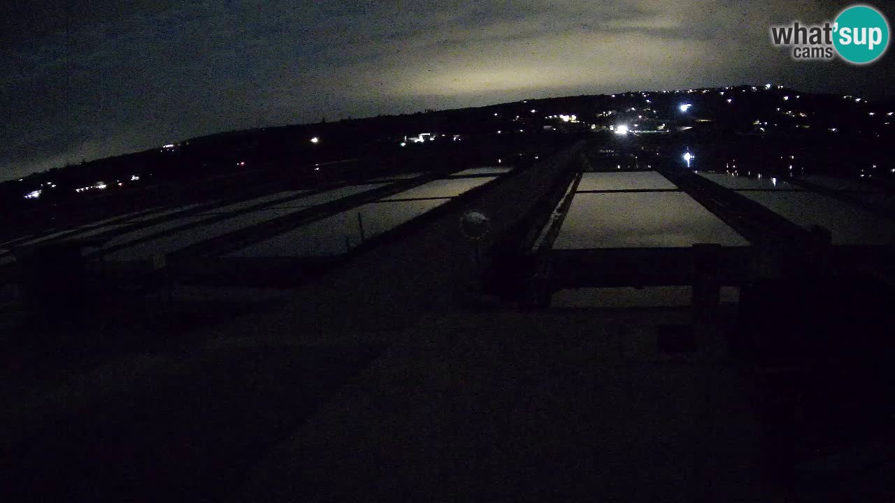 Krajinski Park Sečoveljske Soline