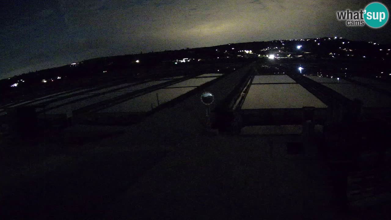 Krajinski Park Sečoveljske Soline