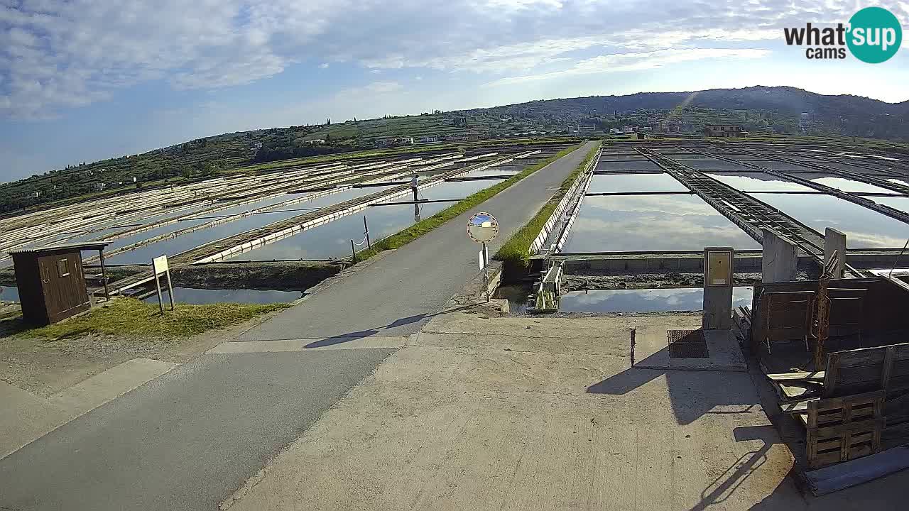 Sezza – Panorama e le saline