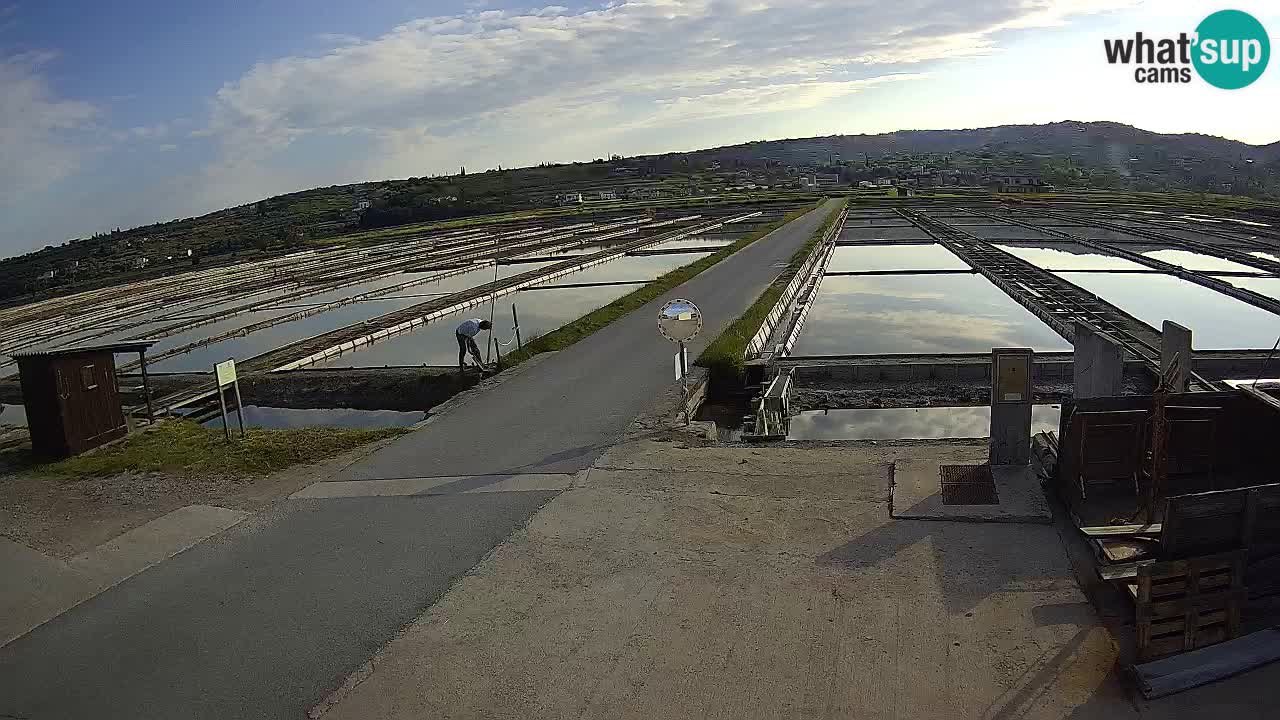 Sečovlje Salina Parque Natural