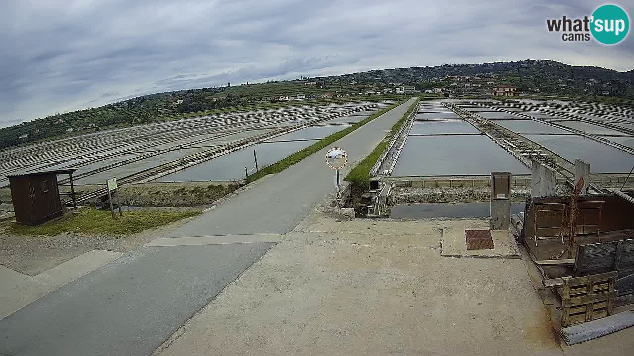 Sezza – Panorama e le saline