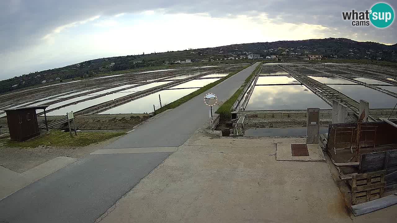 Parco Naturale Saline di Sicciole