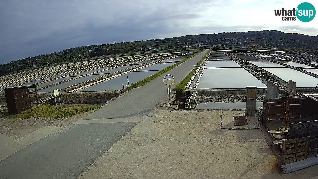 Sezza – Panorama e le saline