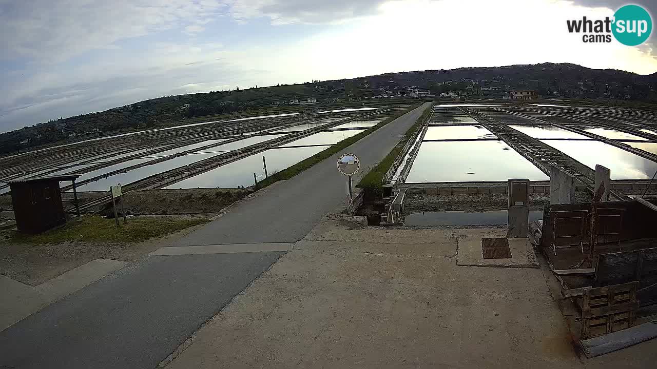 Sezza – Panorama e le saline