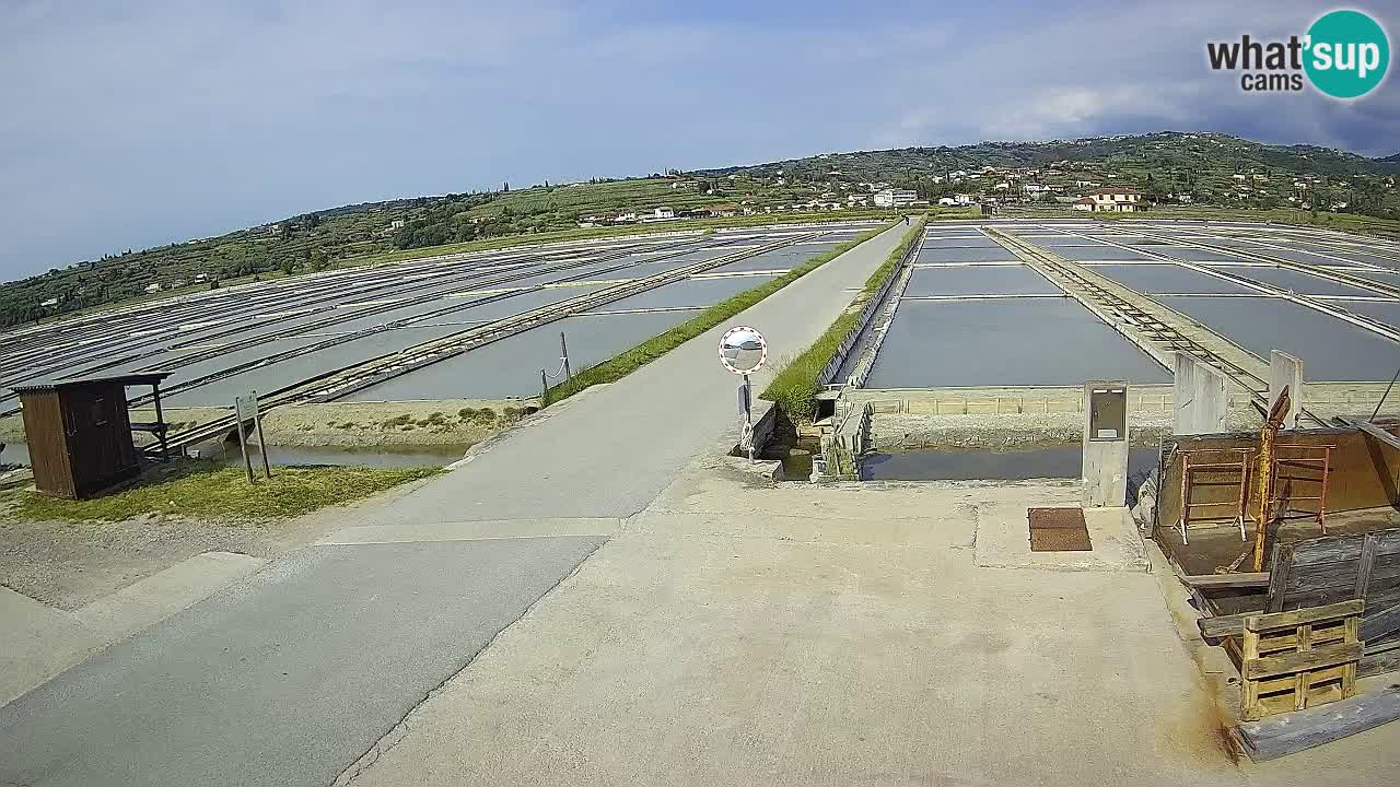Park prirode Sečovlje Salina