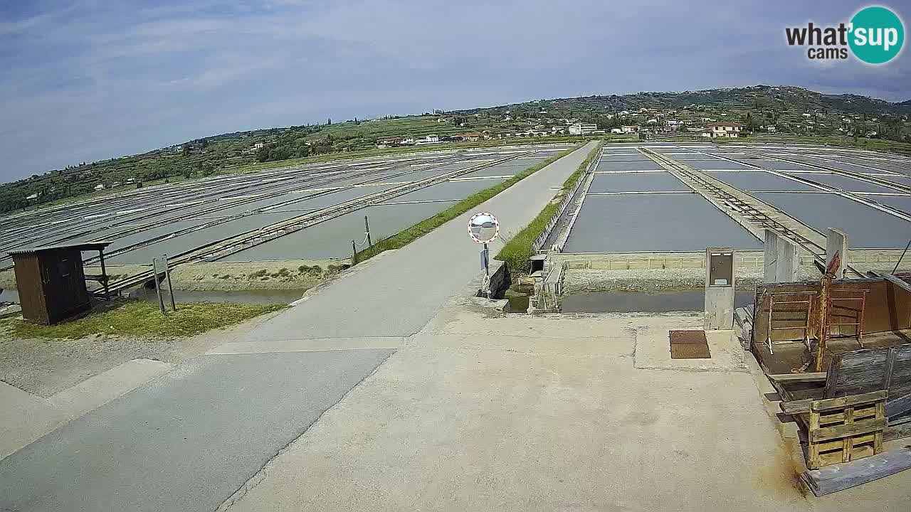 Parco Naturale Saline di Sicciole