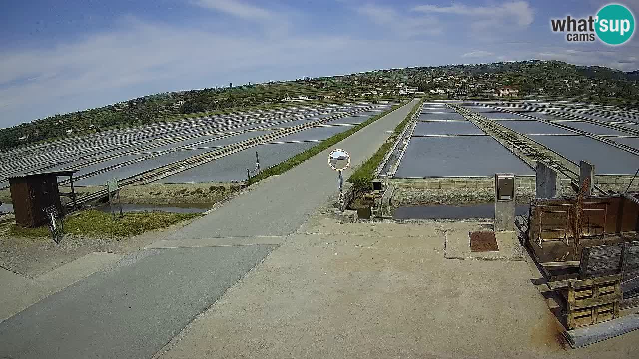 Sečovlje Salina Parque Natural