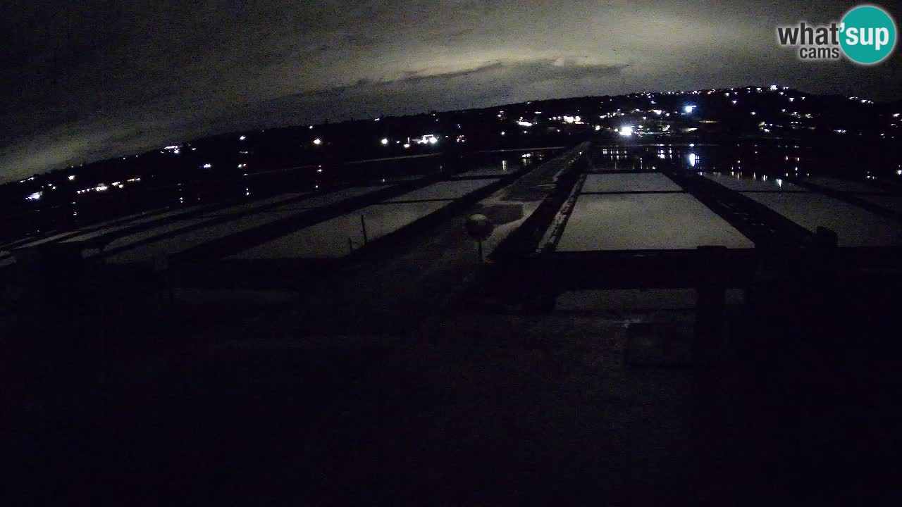 Krajinski Park Sečoveljske Soline