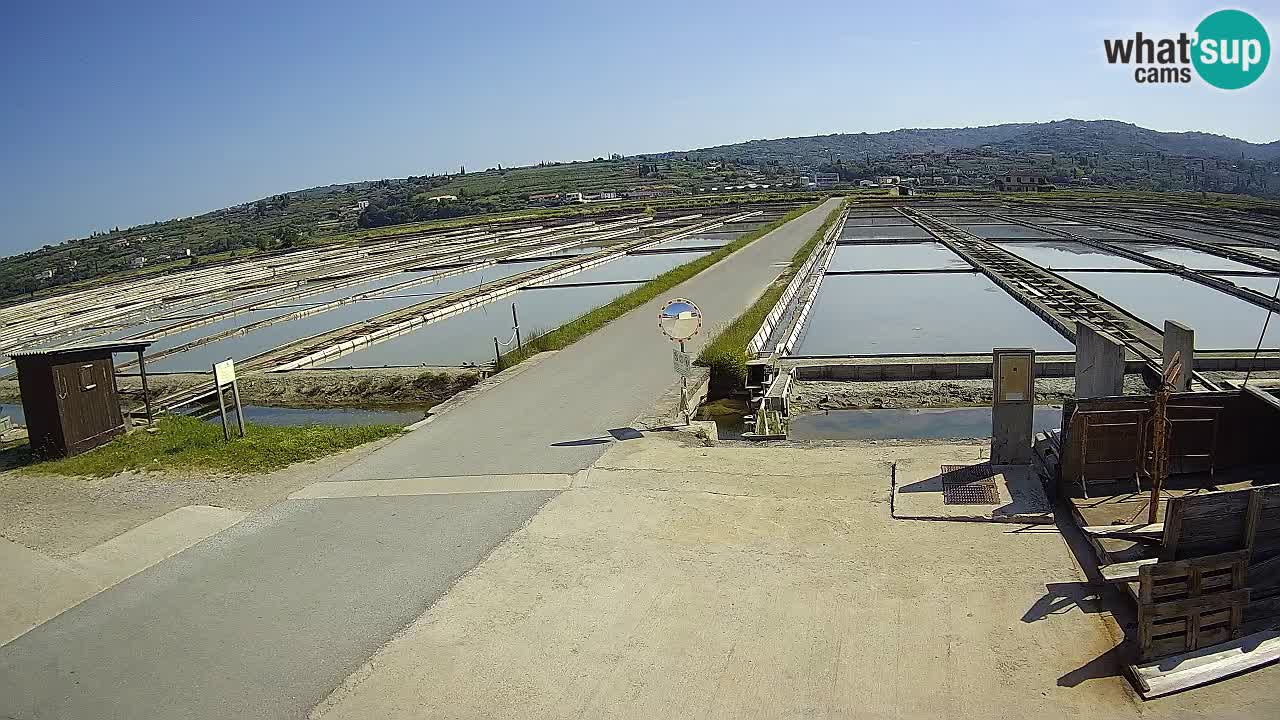 Sečovlje Salina Nature Park