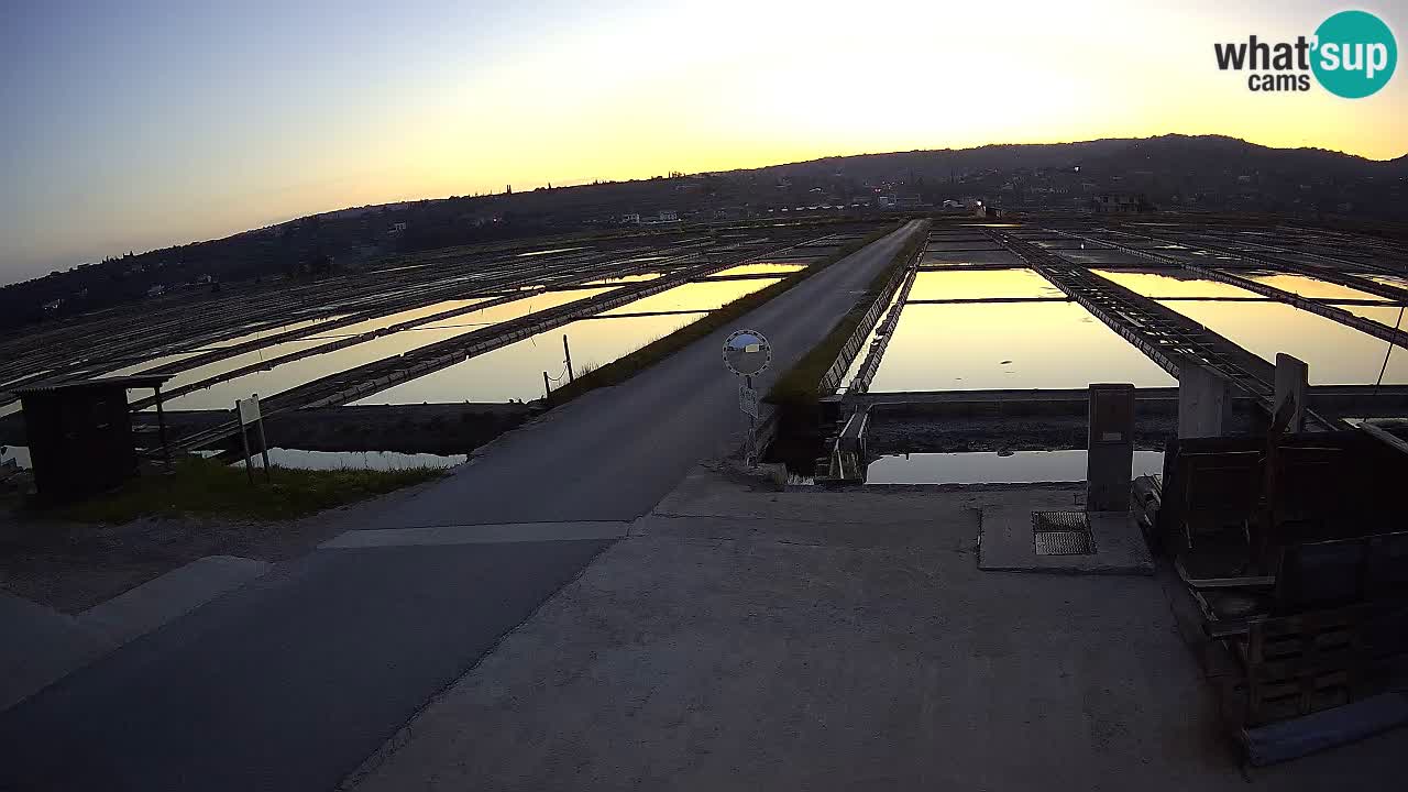 Sečovlje Salina Nature Park