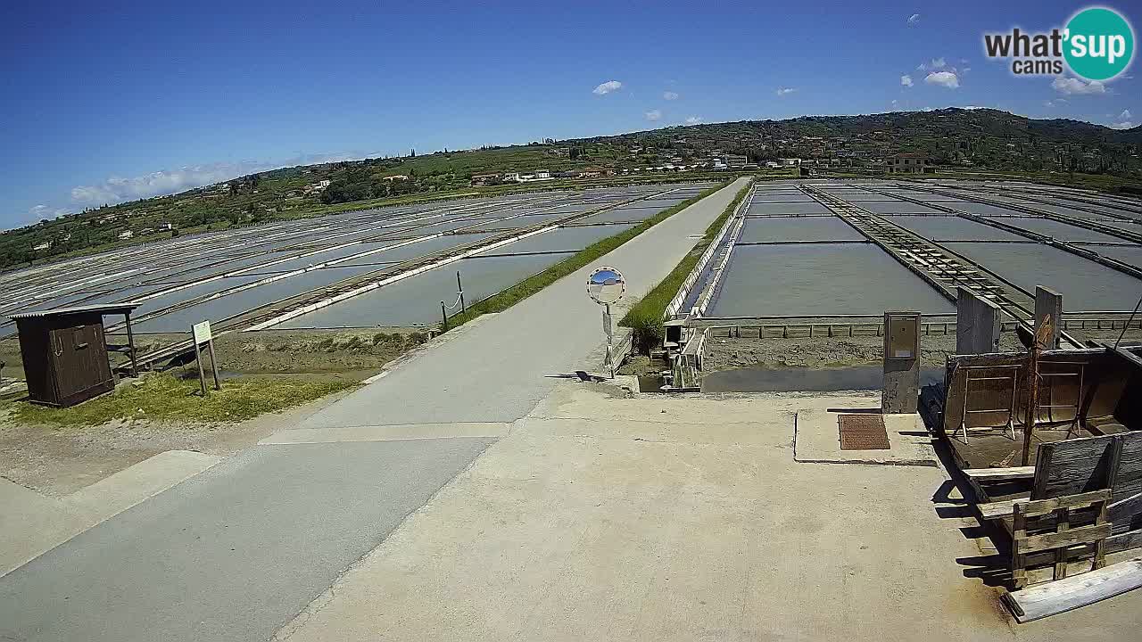 Krajinski Park Sečoveljske Soline
