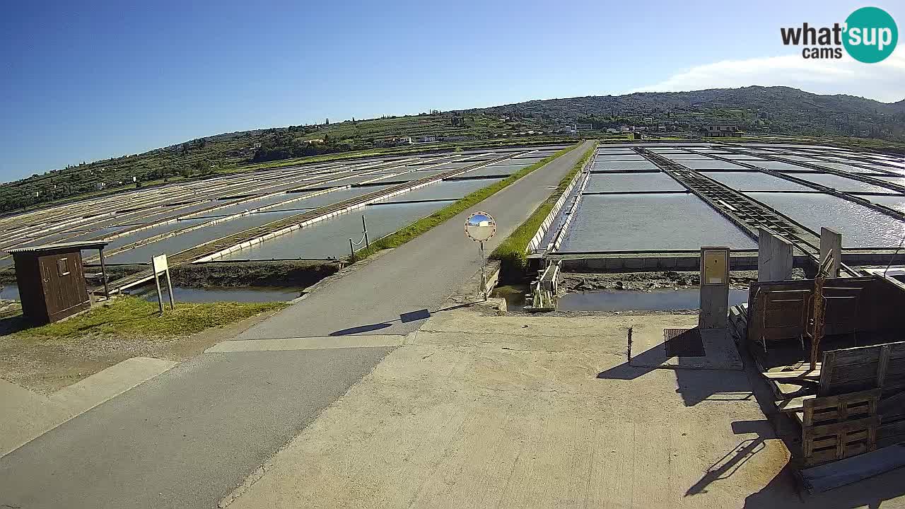 Krajinski Park Sečoveljske Soline