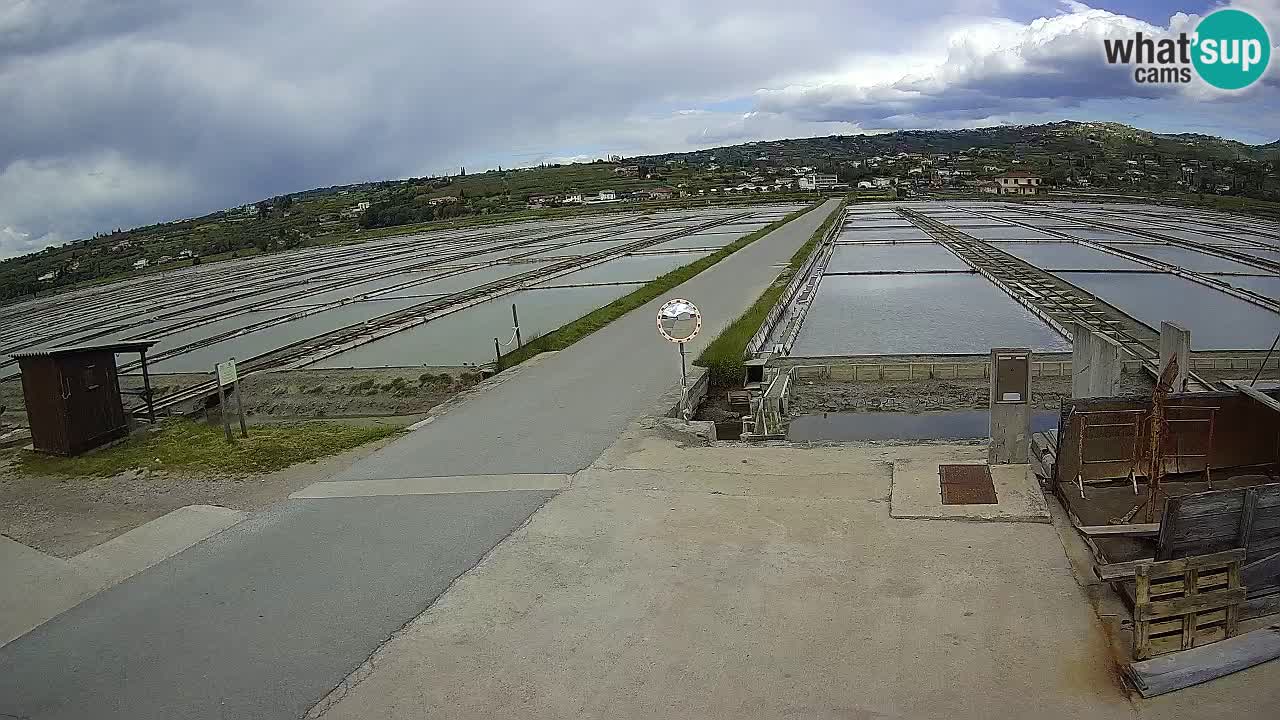 ﻿Sečovlje Salina Nature Park – KPSS