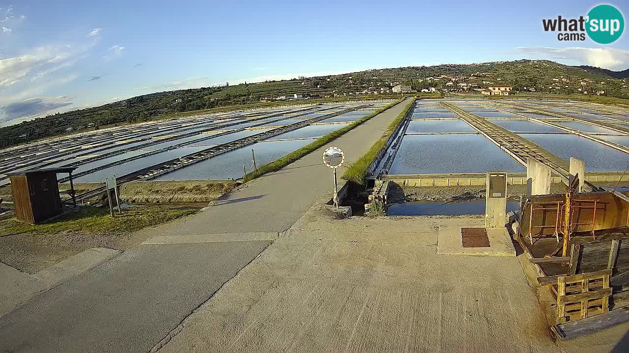 Park prirode Sečovlje Salina