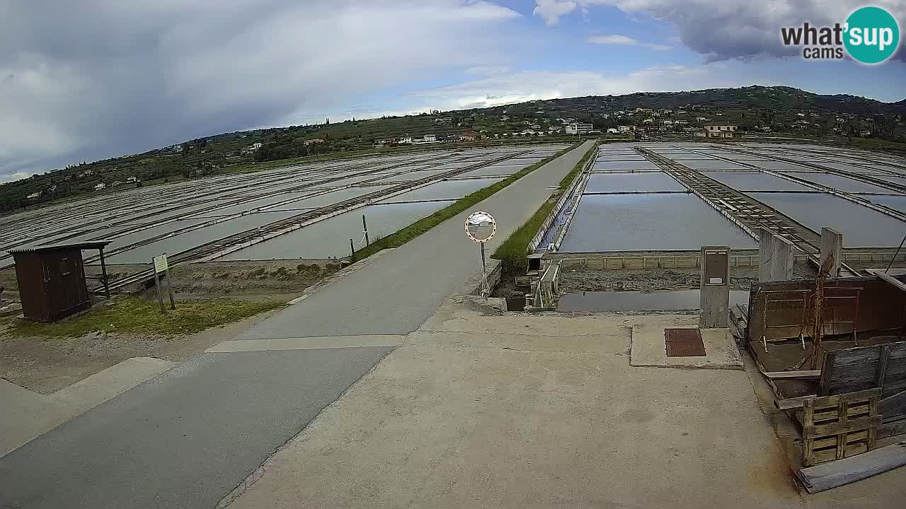 Krajinski Park Sečoveljske Soline
