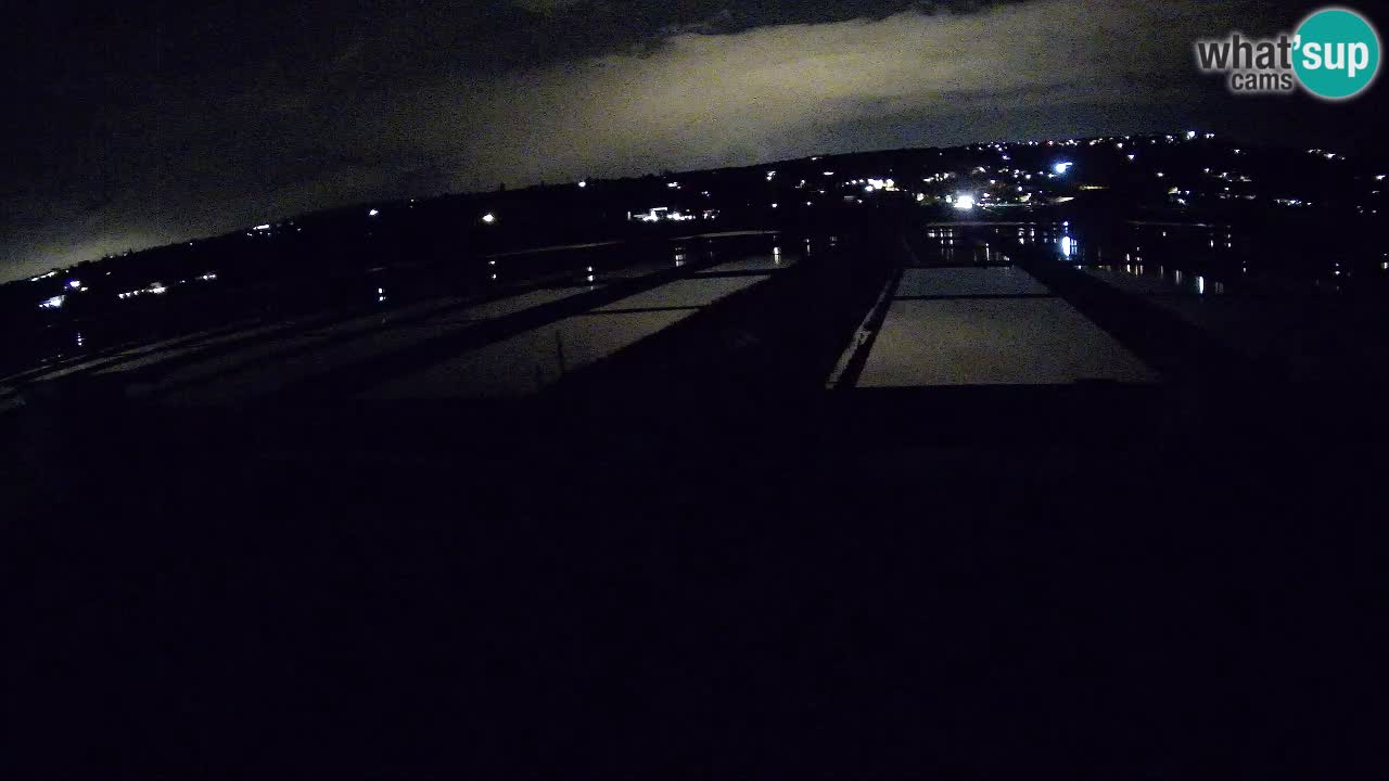 Krajinski Park Sečoveljske Soline