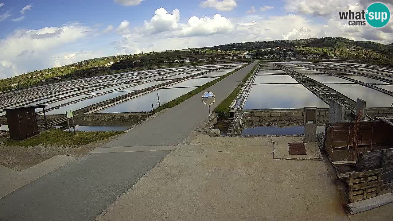 Sečovlje Salina Parque Natural