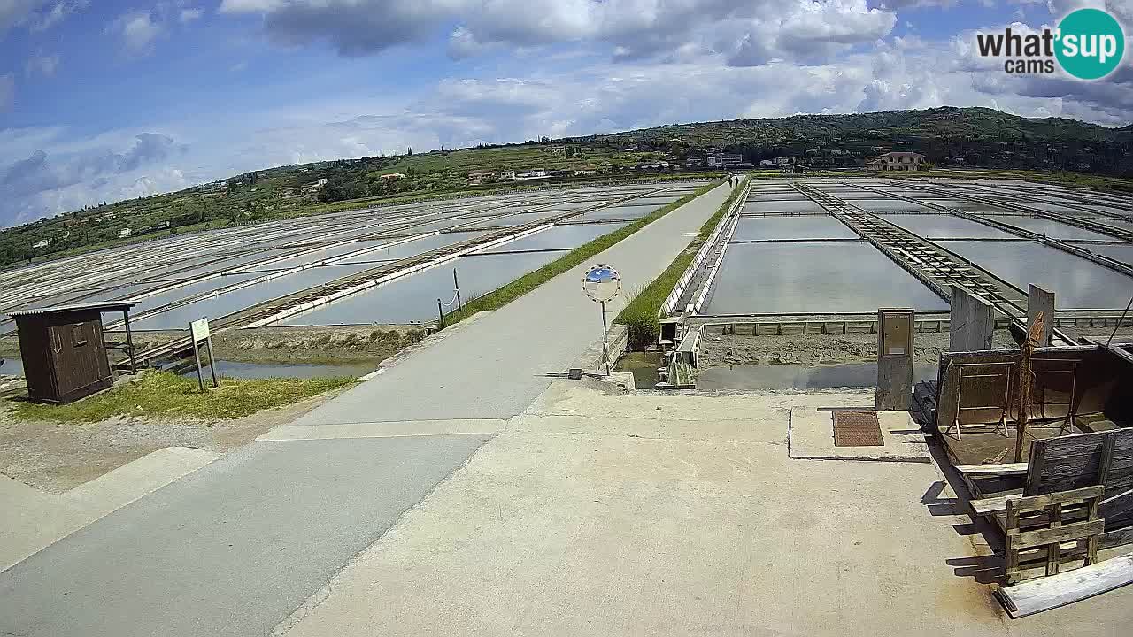 Sezza – Panorama e le saline