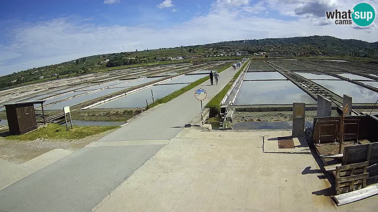 Park prirode Sečovlje Salina