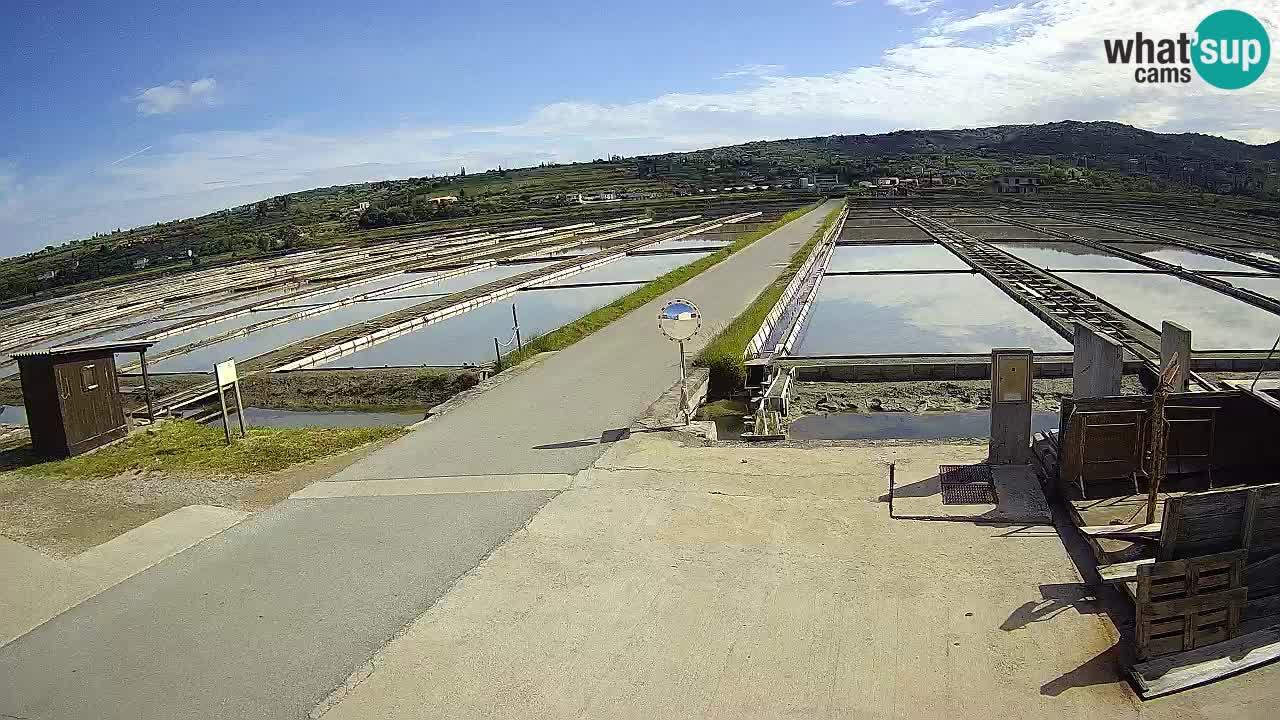 Krajinski Park Sečoveljske Soline