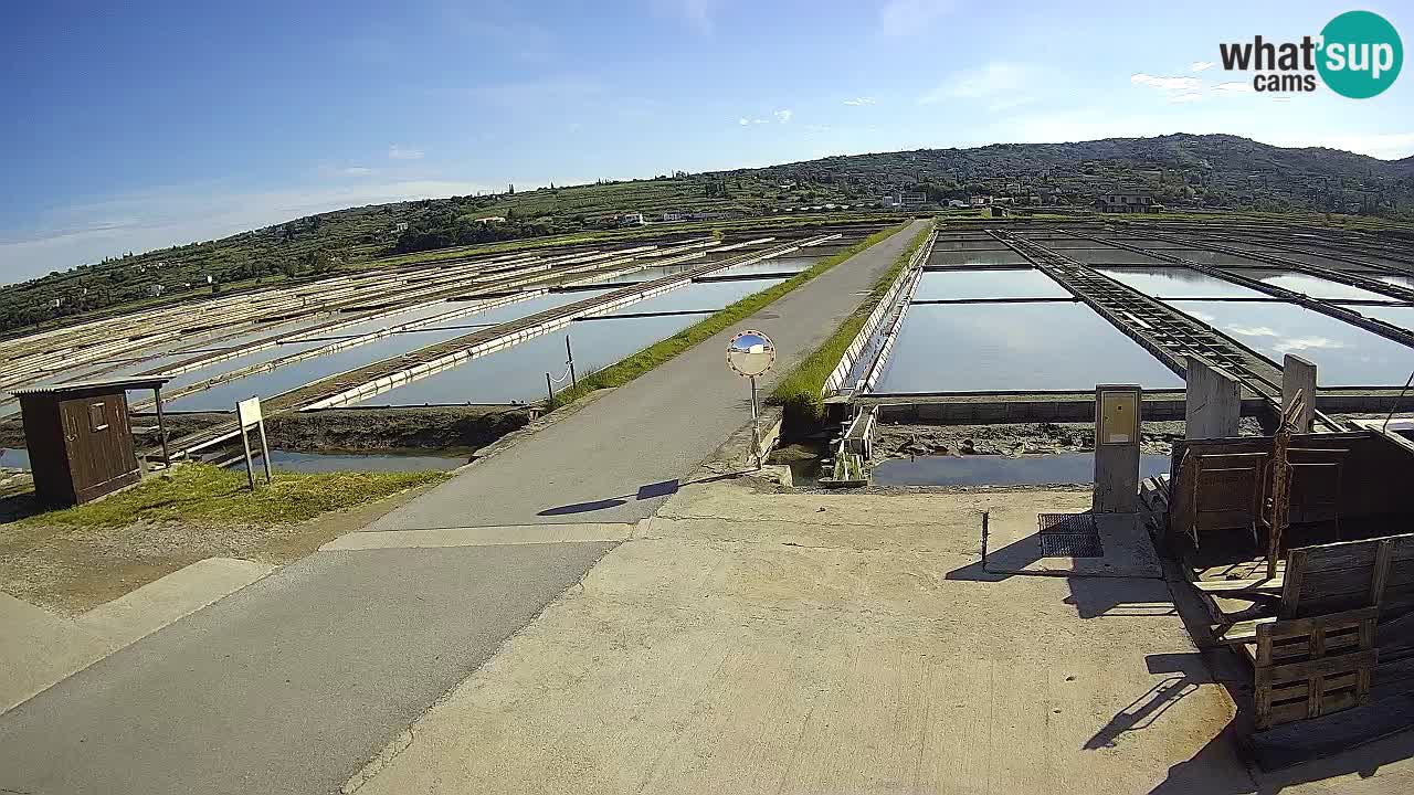 Krajinski Park Sečoveljske Soline