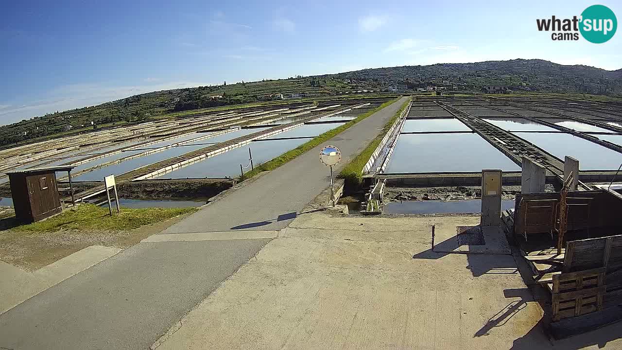 Park prirode Sečovlje Salina